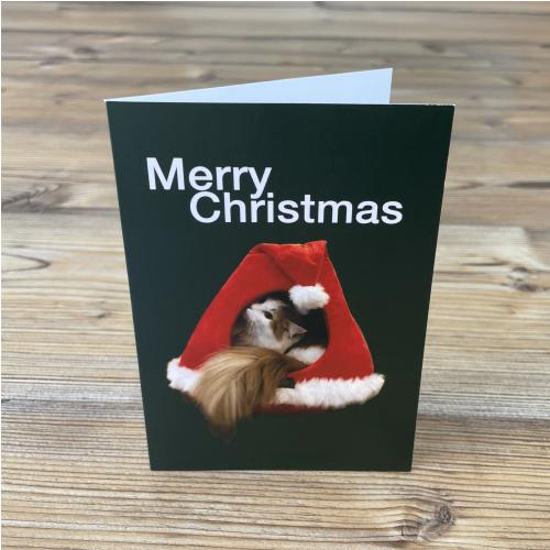 Greetings Cards